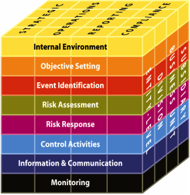 COSO ERM Framework